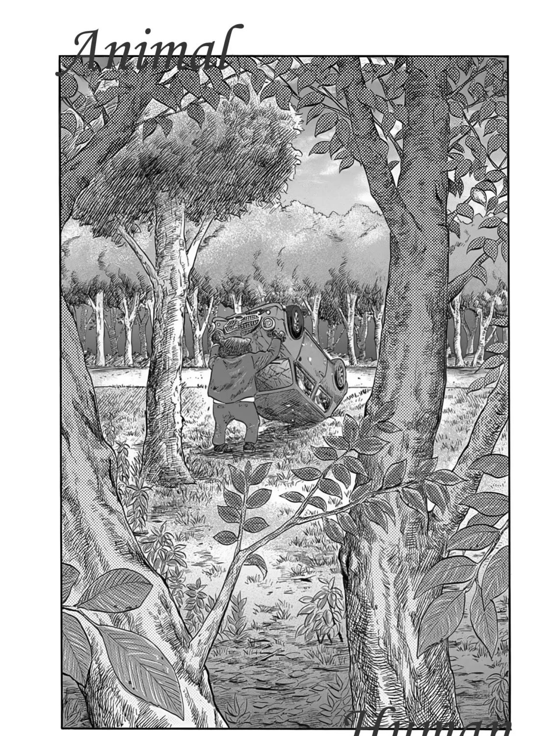 Read Animan chapter 1 image 8 on Lezhin