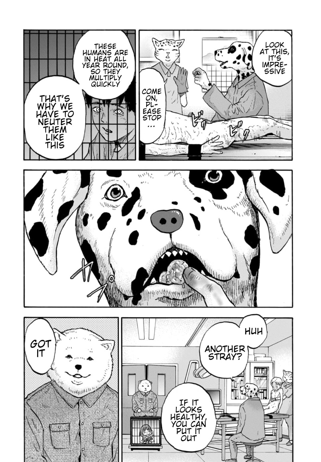 Animan Chapter 16 page 25 - 