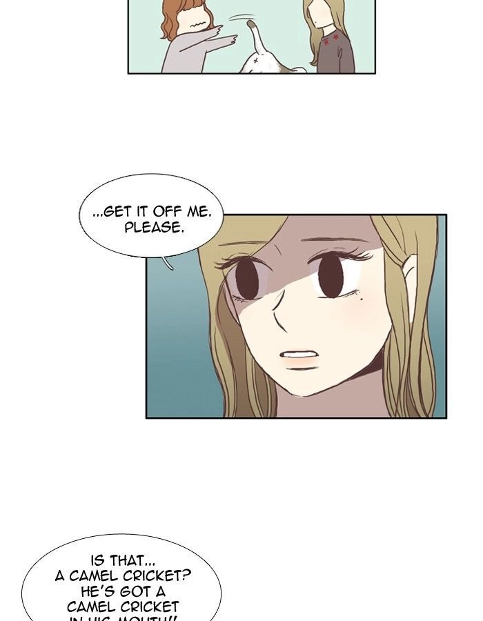 Anoko ni 1000% Chapter 45 page 25 - 