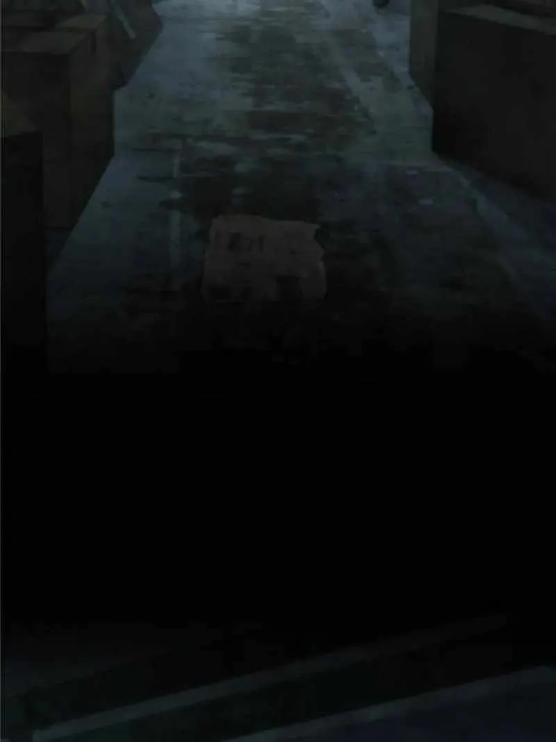Another beginning with the Guhuo bird Chapter 23 page 3 - 