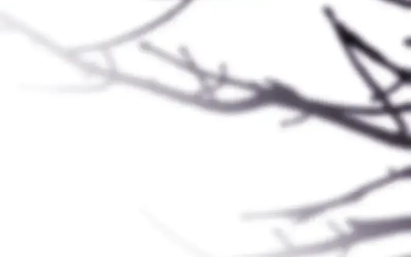 Read Another Typical Fantasy Romance chapter 94.7 image 48 on Lezhin