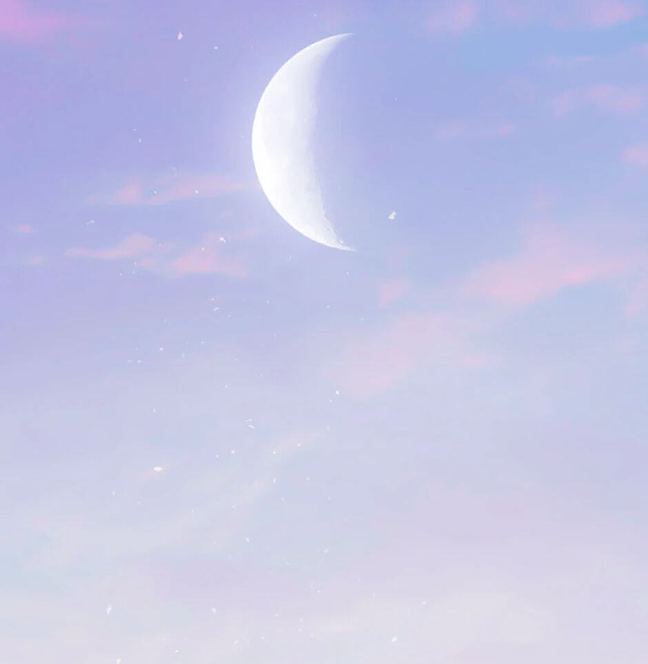 Read Another Typical Fantasy Romance chapter 147 image 96 on Lezhin