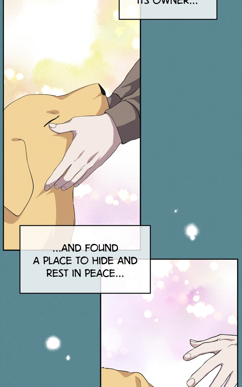 Read Answer Me, My Prince chapter 18 image 3 on Lezhin