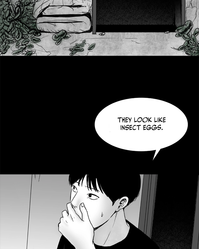 Read ANT chapter 19 image 66 on Lezhin