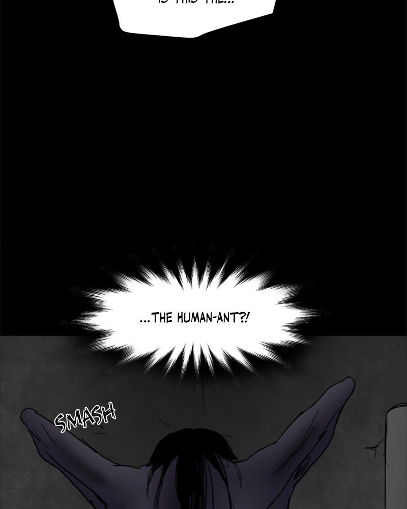 Read ANT chapter 24 image 13 on Lezhin