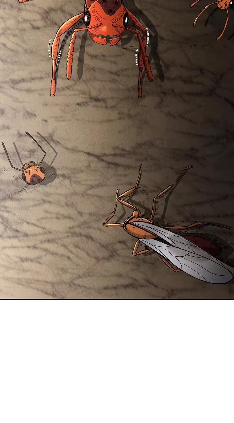 Read ANT chapter 36 image 46 on Lezhin
