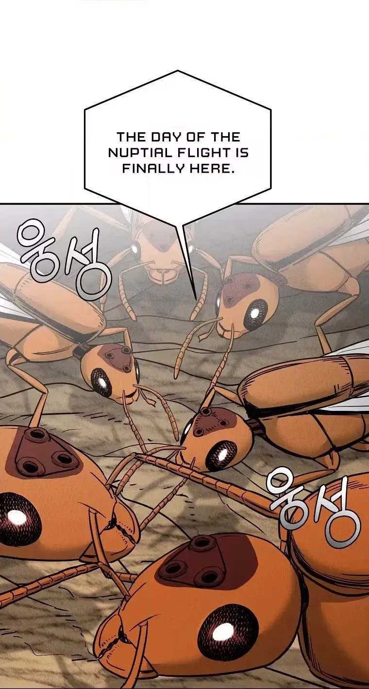 Read ANT chapter 36 image 9 on Lezhin