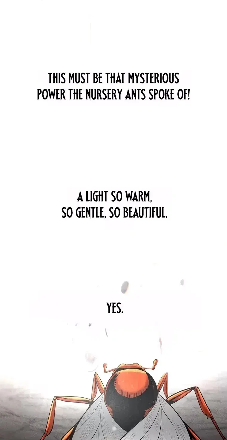 Read ANT chapter 37 image 69 on Lezhin