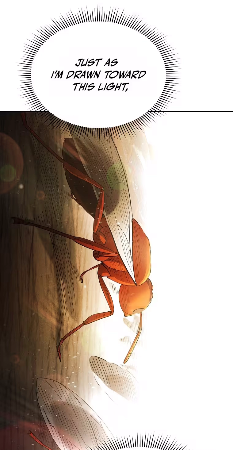 Read ANT chapter 37 image 73 on Lezhin