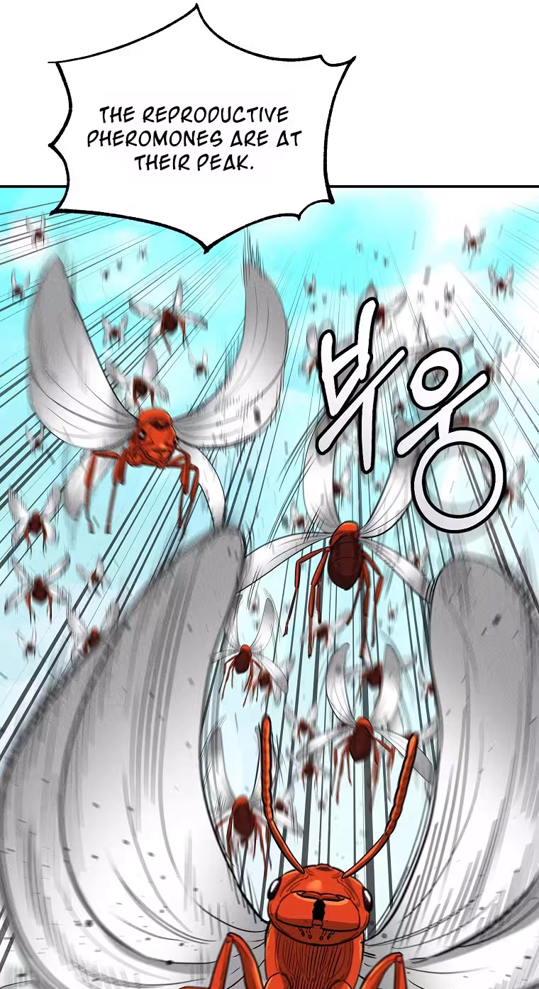 Read ANT chapter 38 image 27 on Lezhin