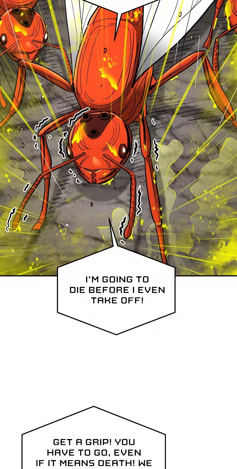 Read ANT chapter 38 image 63 on Lezhin