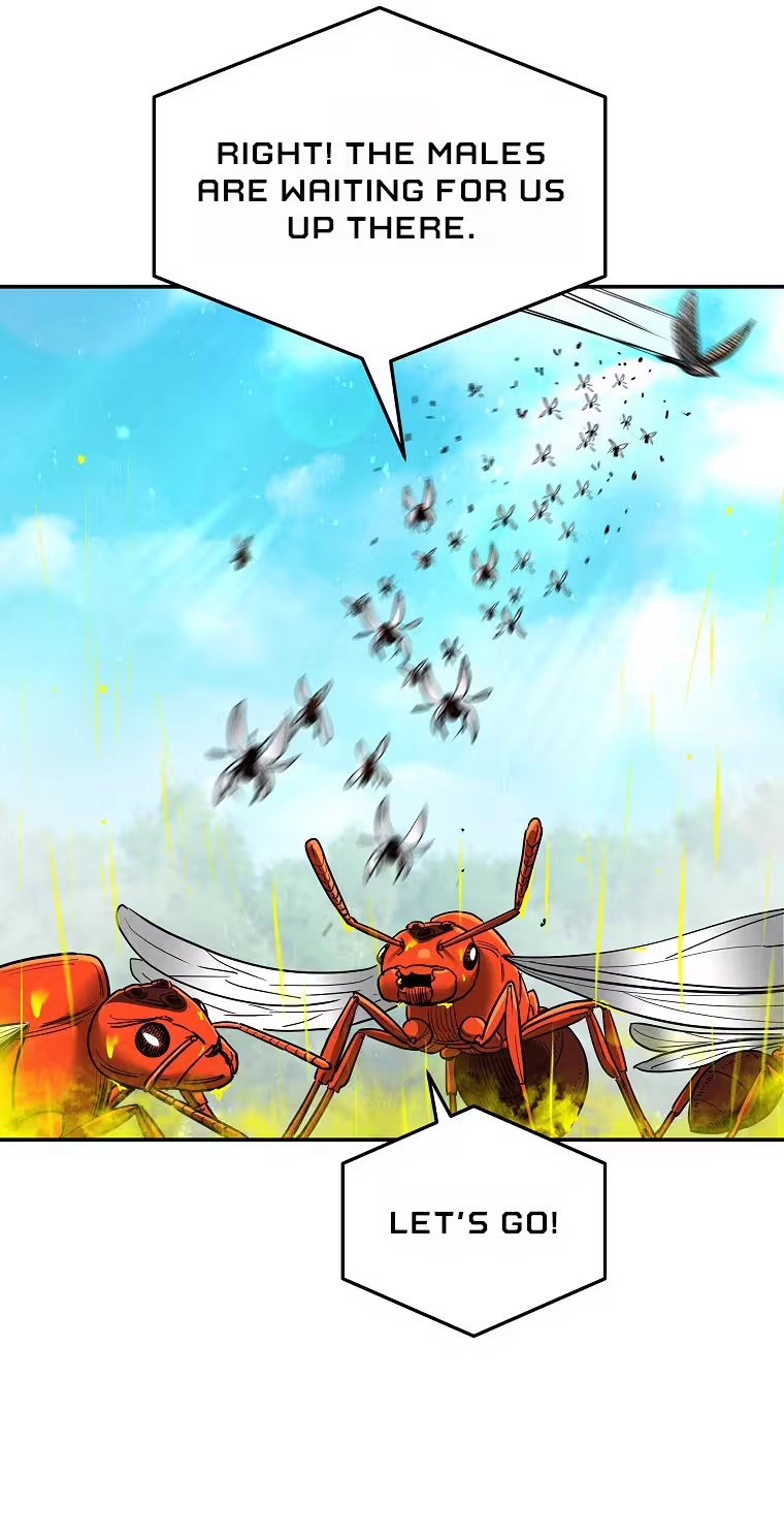 Read ANT chapter 38 image 65 on Lezhin