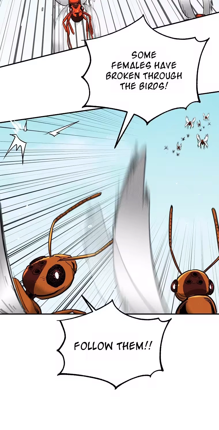 Read ANT chapter 38 image 70 on Lezhin