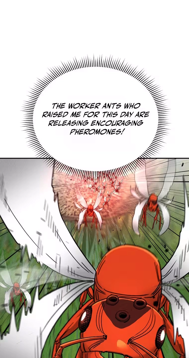 Read ANT chapter 39 image 12 on Lezhin