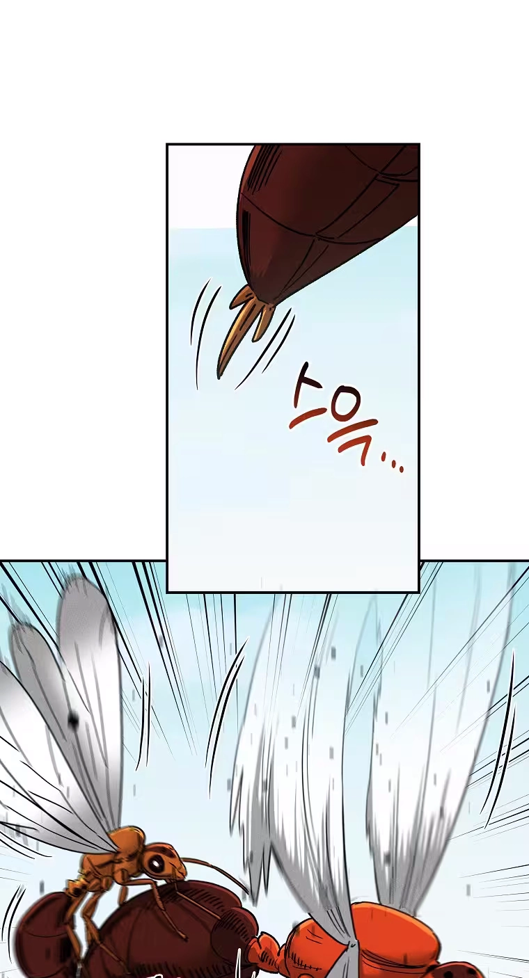 Read ANT chapter 39 image 40 on Lezhin