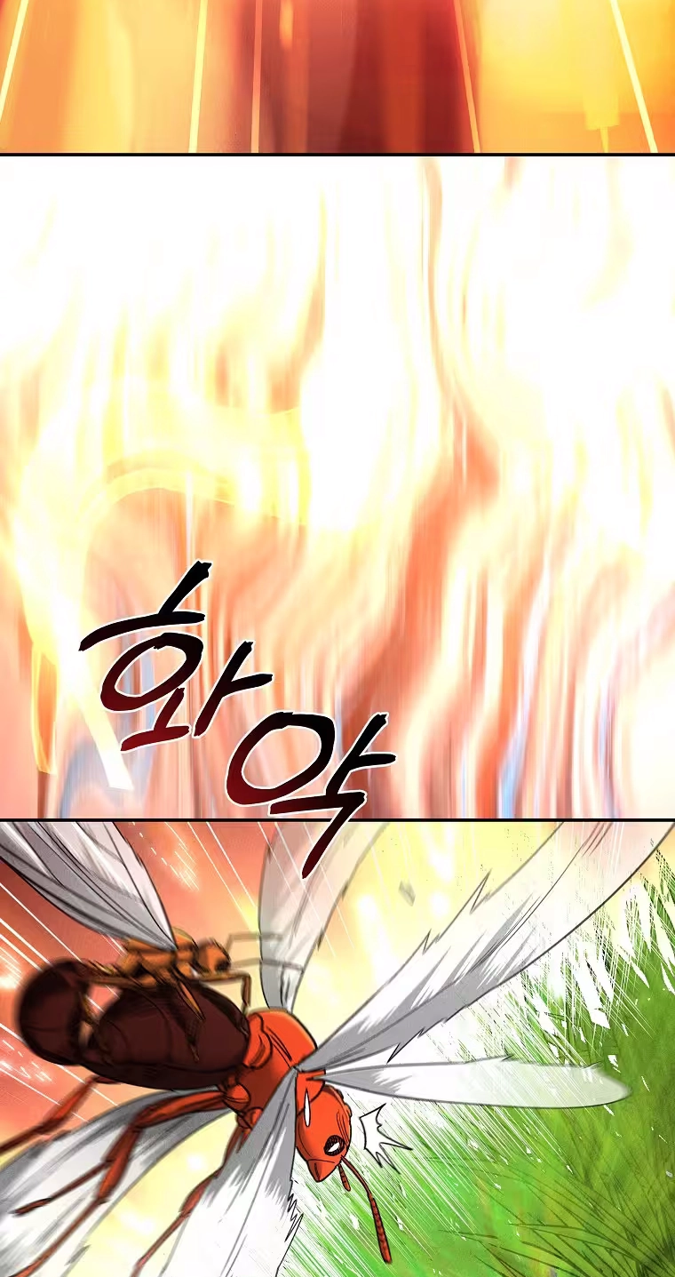 Read ANT chapter 39 image 48 on Lezhin
