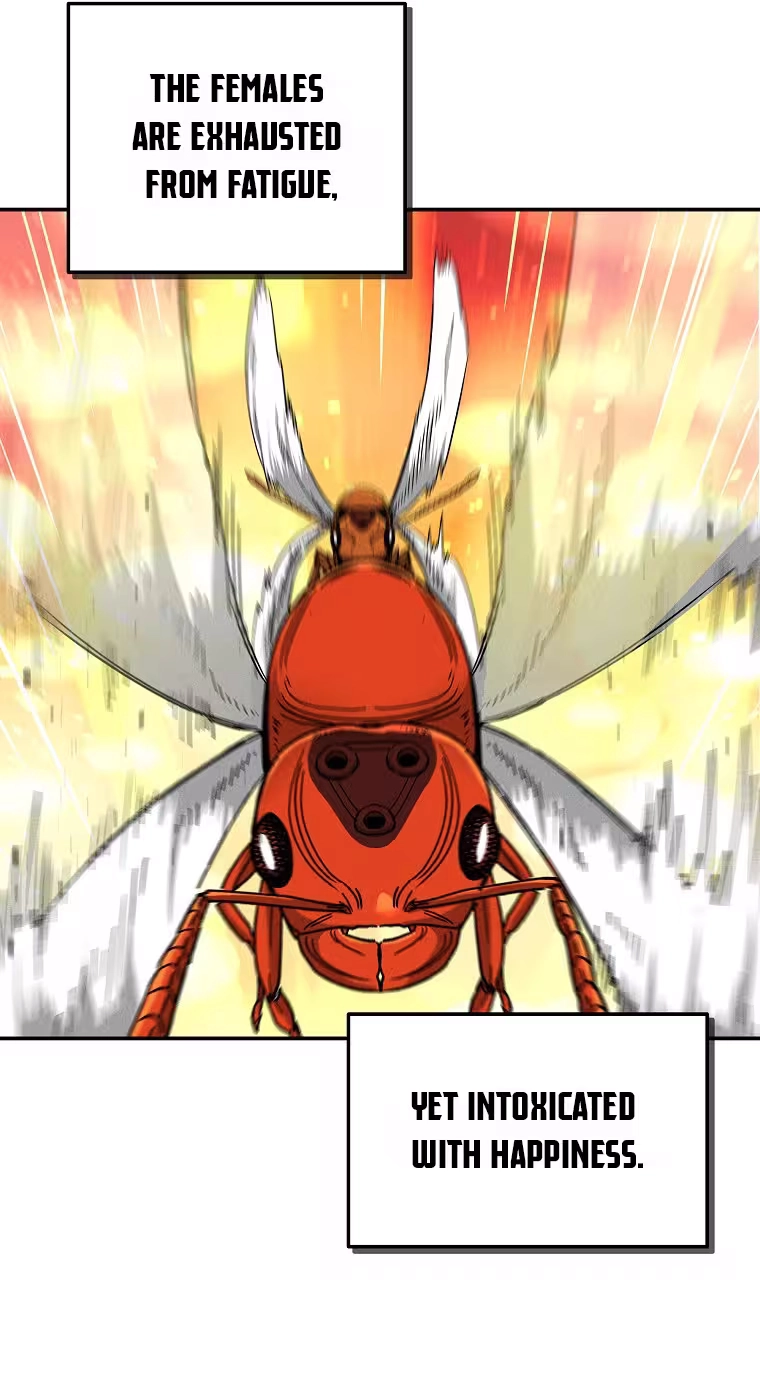 Read ANT chapter 39 image 66 on Lezhin