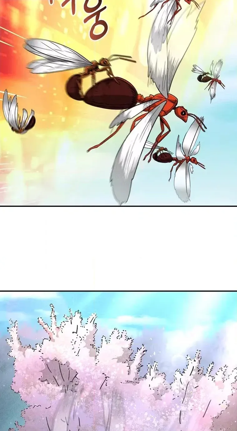 Read ANT chapter 39 image 69 on Lezhin