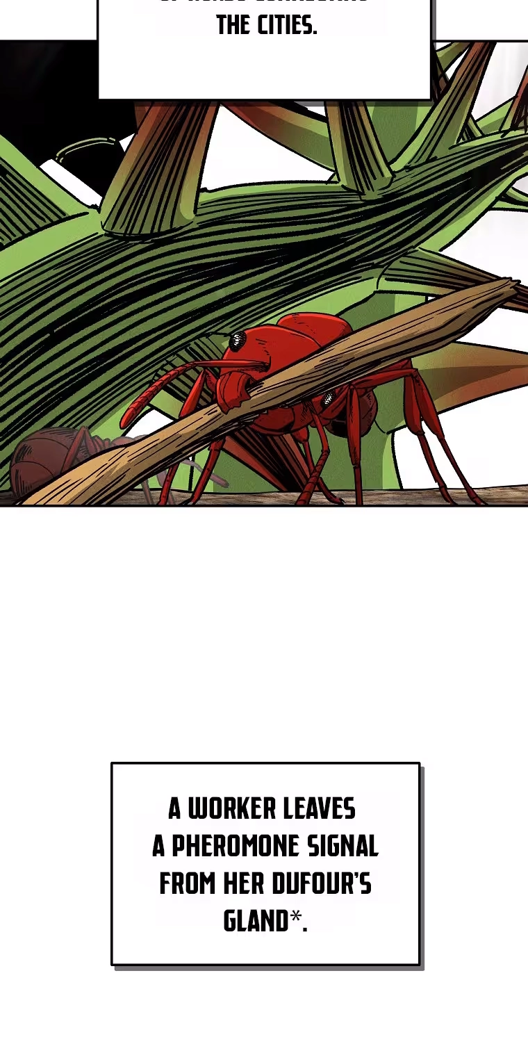 Read ANT chapter 40 image 54 on Lezhin