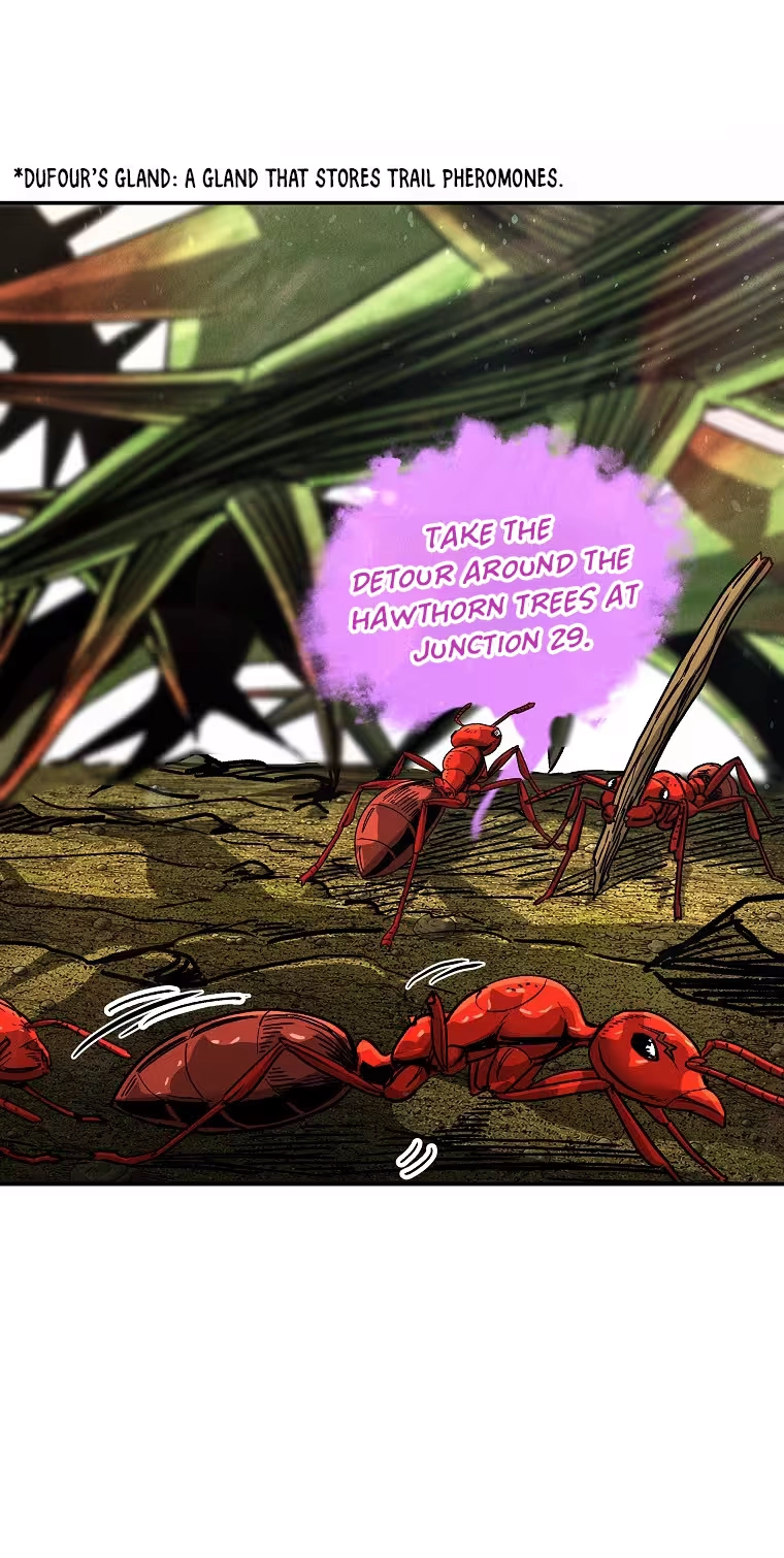 Read ANT chapter 40 image 55 on Lezhin