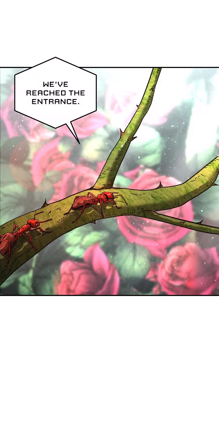 Read ANT chapter 41 image 10 on Lezhin