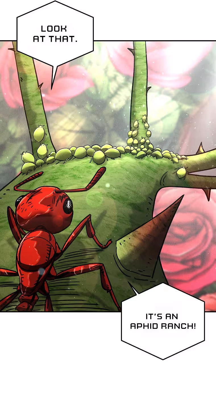 Read ANT chapter 41 image 11 on Lezhin