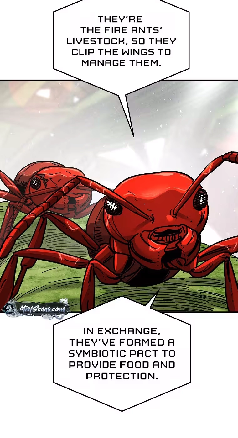 Read ANT chapter 41 image 16 on Lezhin