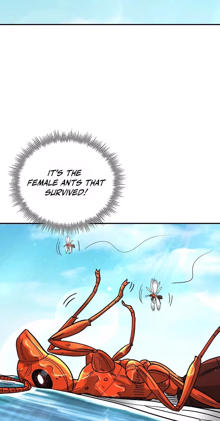 Read ANT chapter 41 image 47 on Lezhin
