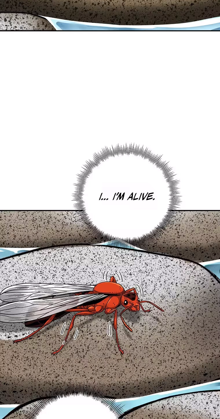 Read ANT chapter 43 image 76 on Lezhin