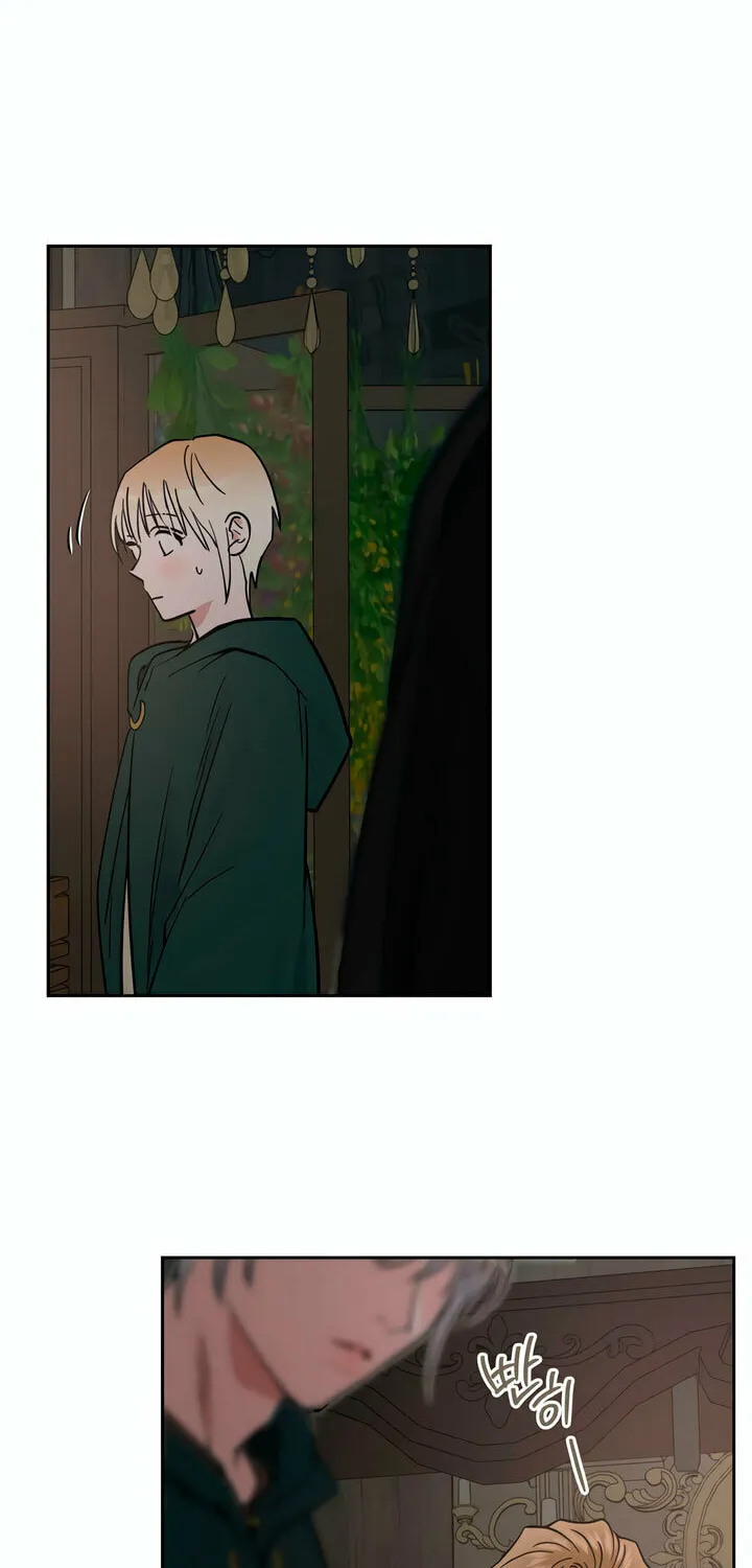 Read Antidote (Harusari) chapter 36 image 34 on Lezhin