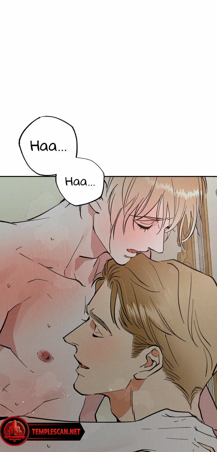 Read Antidote (Harusari) chapter 38 image 61 on Lezhin