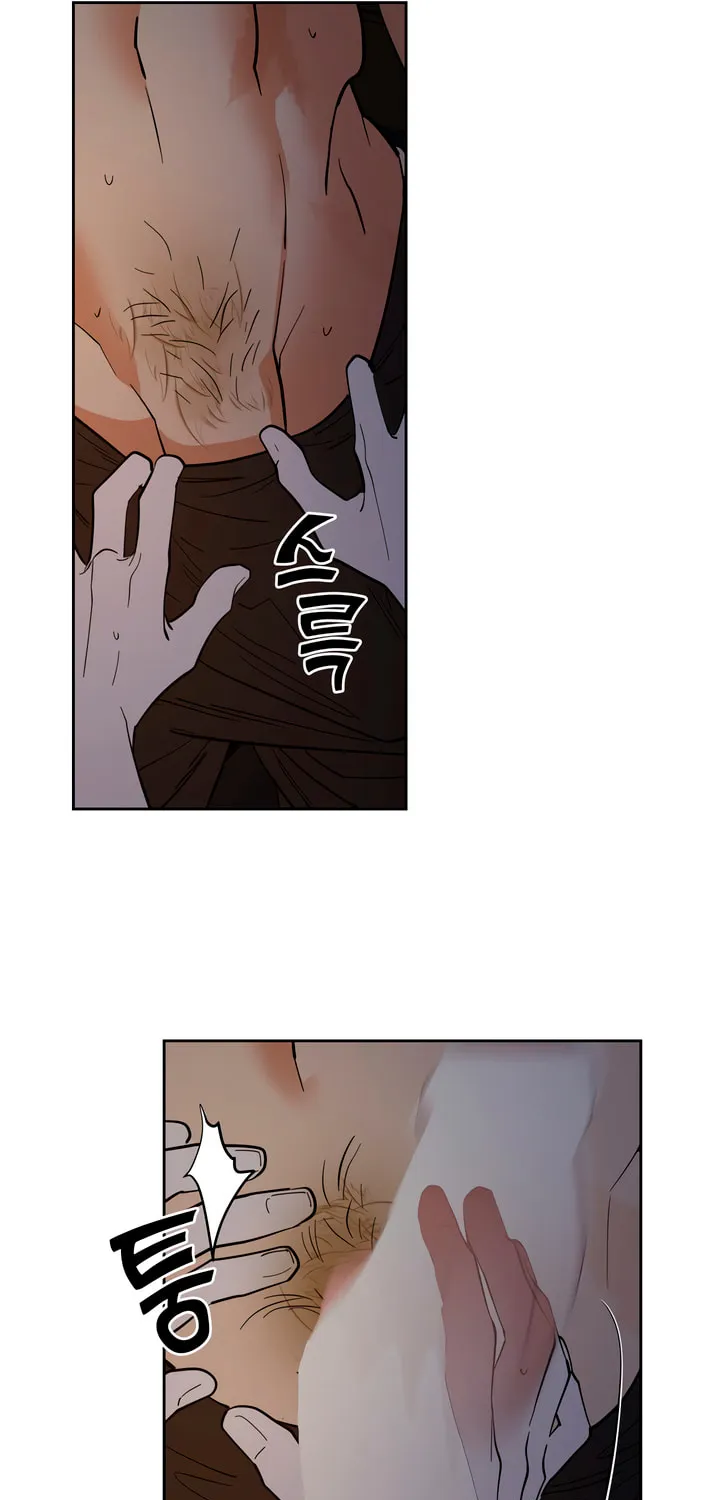 Read Antidote (Harusari) chapter 47 image 40 on Lezhin