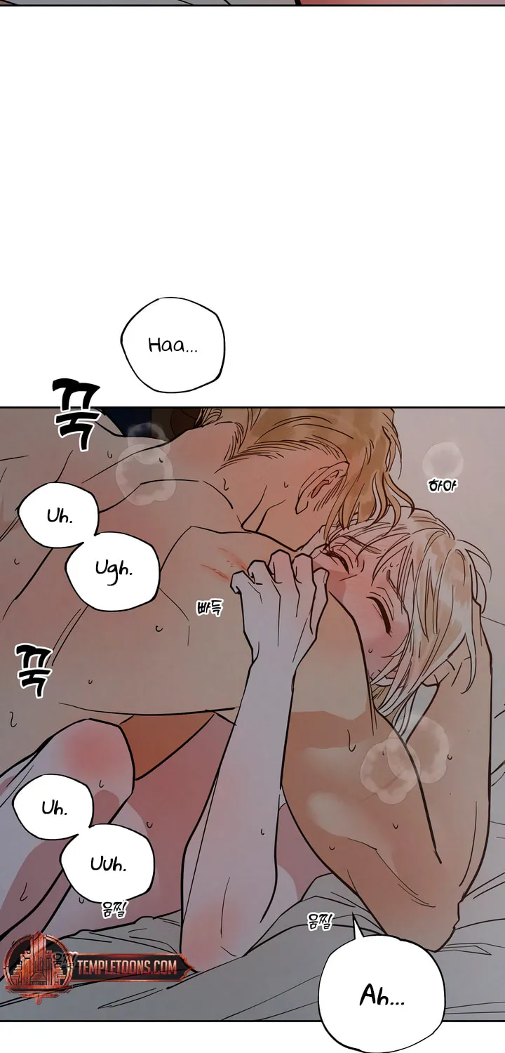 Read Antidote (Harusari) chapter 48 image 36 on Lezhin