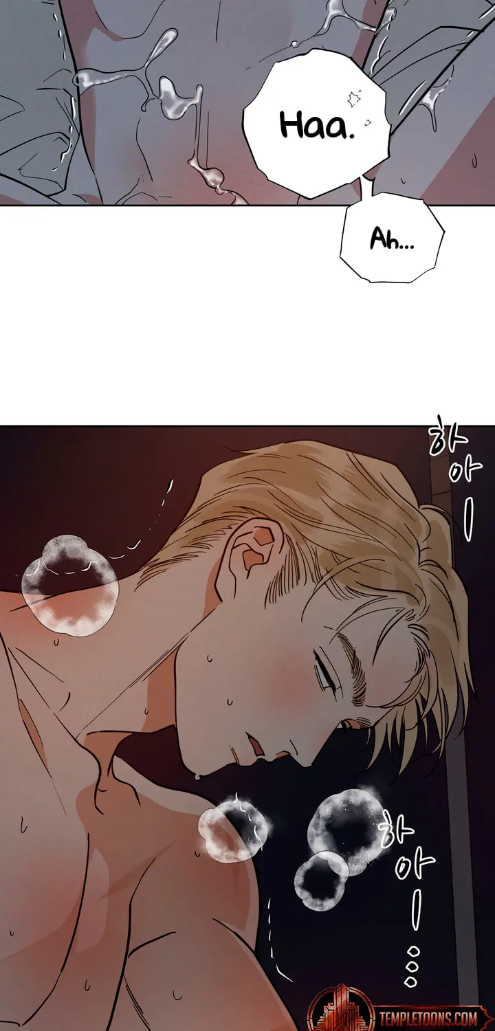 Read Antidote (Harusari) chapter 48 image 62 on Lezhin