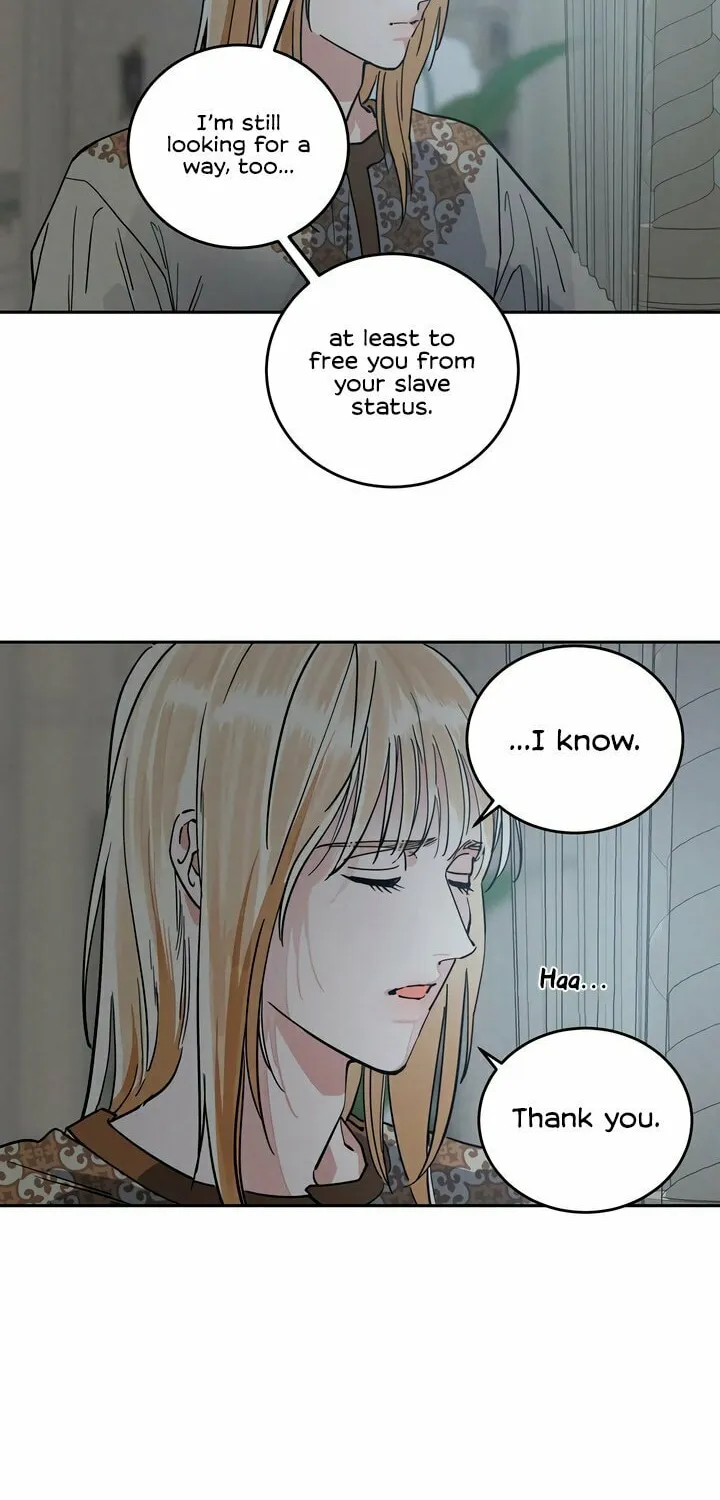 Read Antidote (Harusari) chapter 56 image 12 on Lezhin