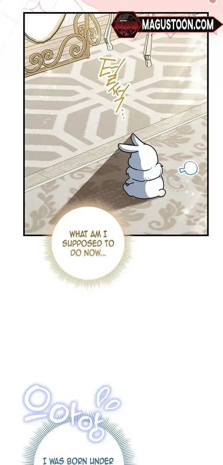 Read Anyone Can See It’s A Beast chapter 1.2 image 15 on Lezhin