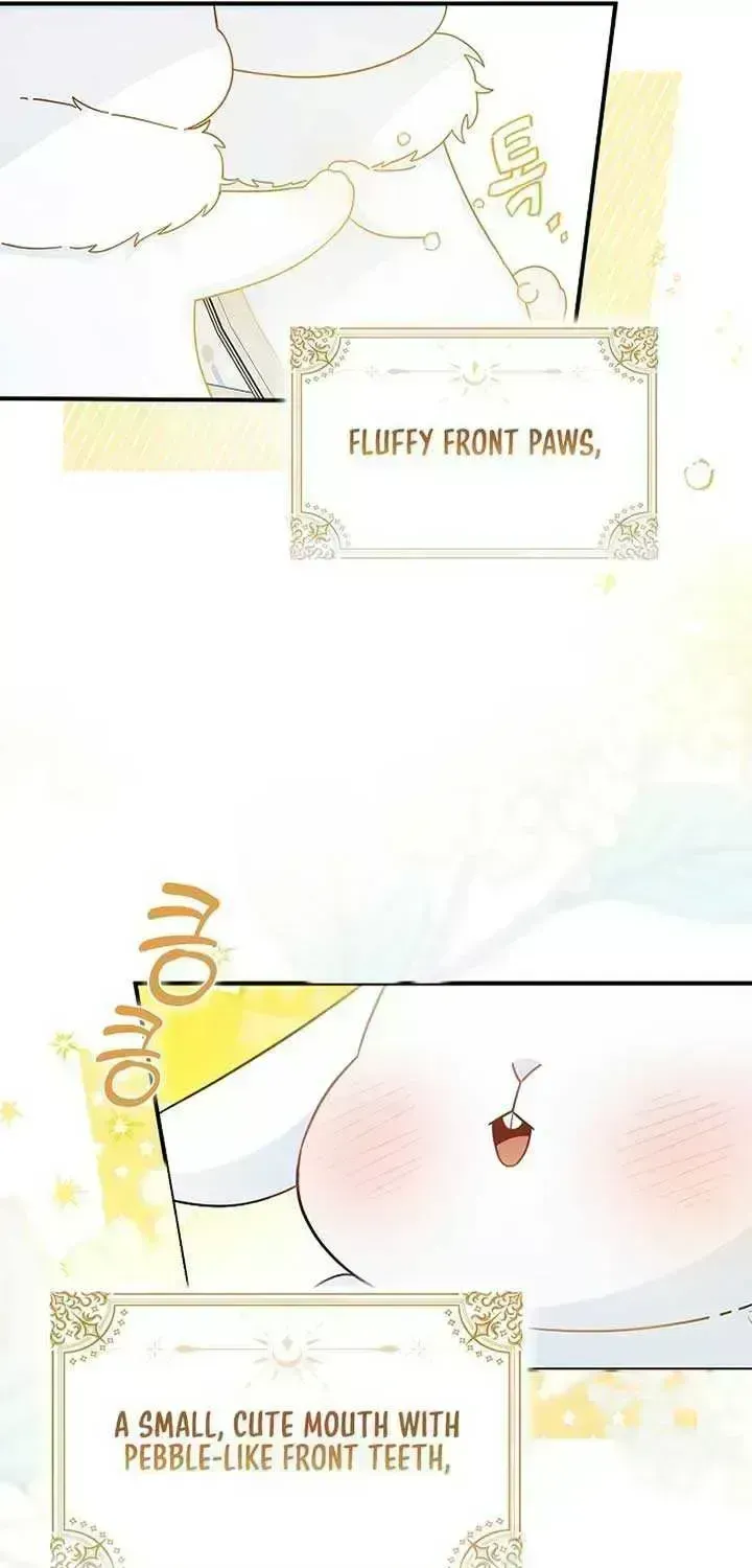 Read Anyone Can See It’s A Beast chapter 1.6 image 6 on Lezhin