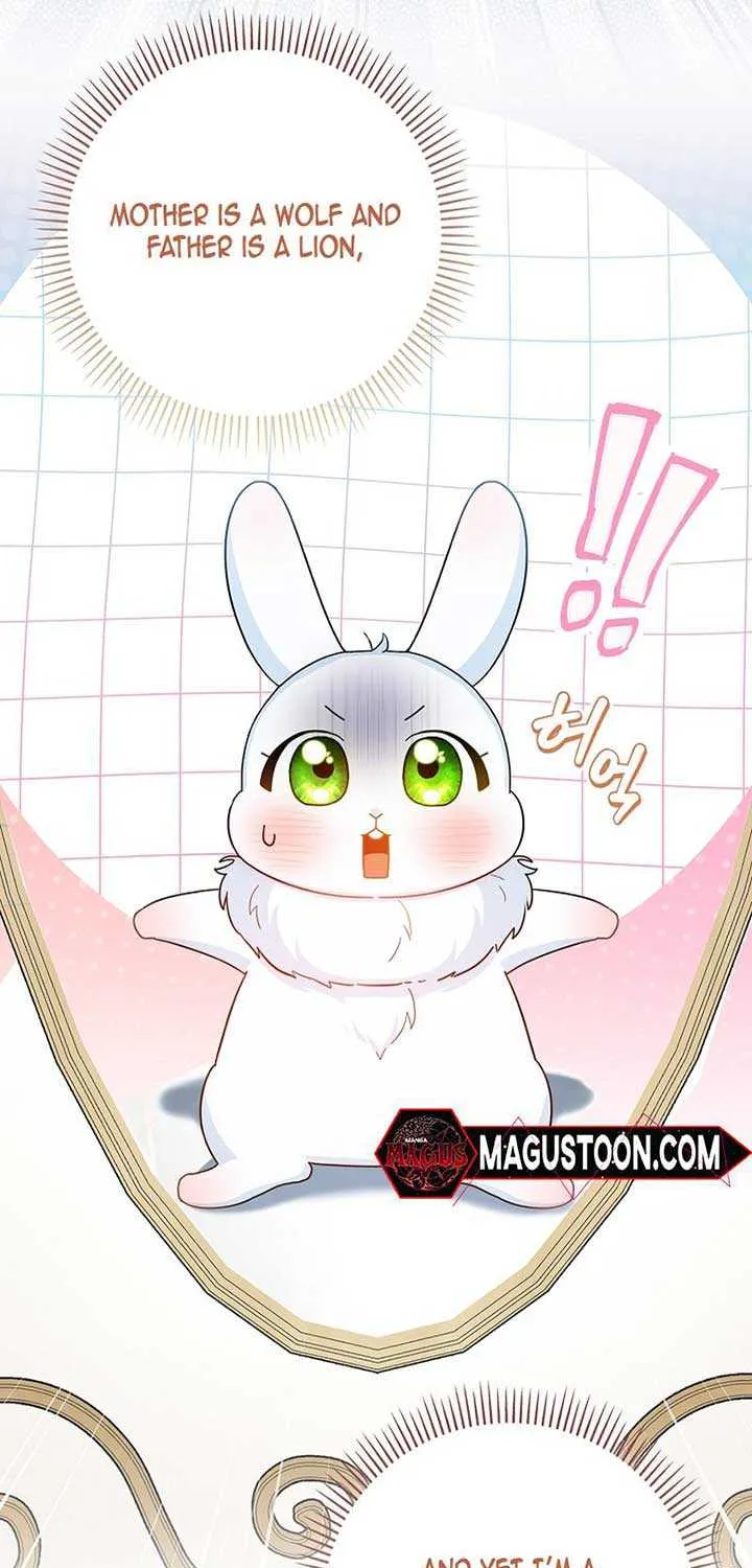 Read Anyone Can See It’s A Beast chapter 1 image 13 on Lezhin