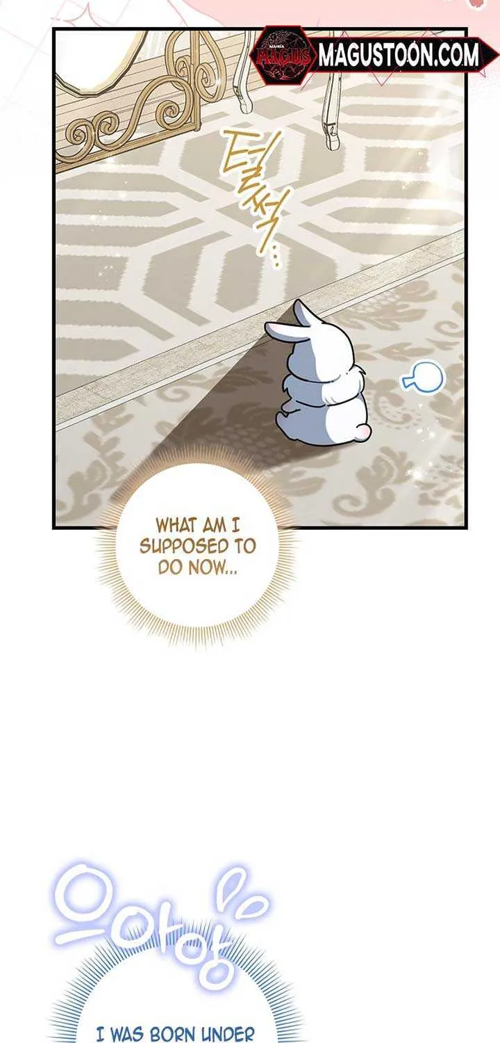 Read Anyone Can See It’s A Beast chapter 1 image 16 on Lezhin