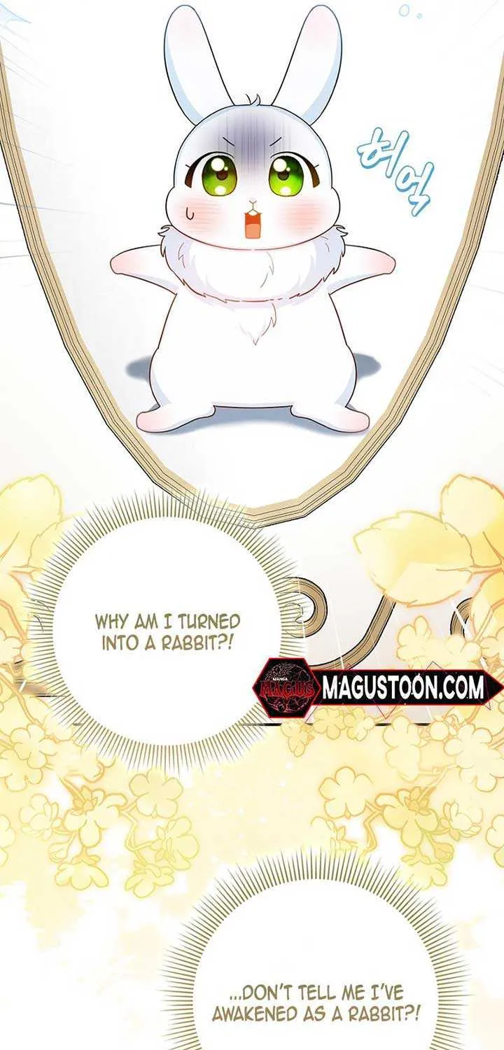 Read Anyone Can See It’s A Beast chapter 1 image 89 on Lezhin