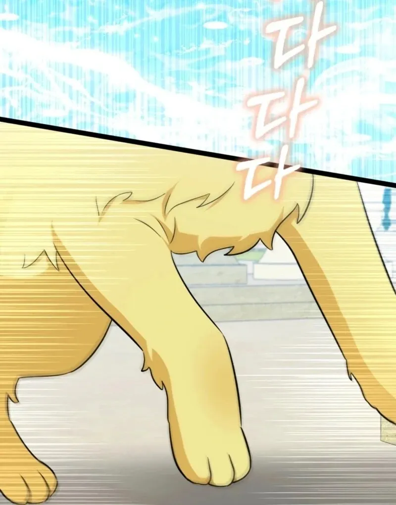 Read Anyone Can See It’s A Beast chapter 37 image 14 on Lezhin
