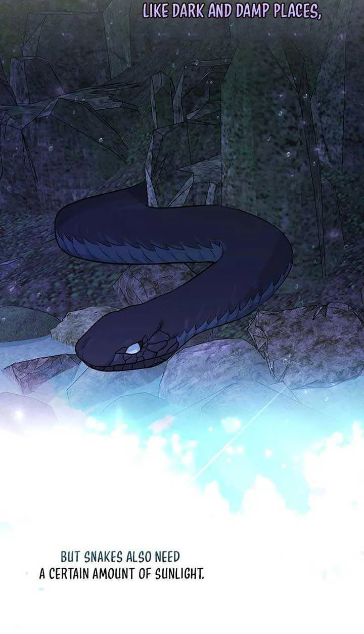 Read Anyone Can See It’s A Beast chapter 8 image 80 on Lezhin