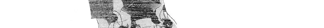 Read Ao Natsu chapter 21 image 21 on Lezhin