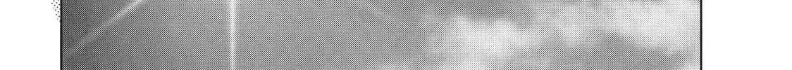 Read Ao Natsu chapter 30 image 39 on Lezhin