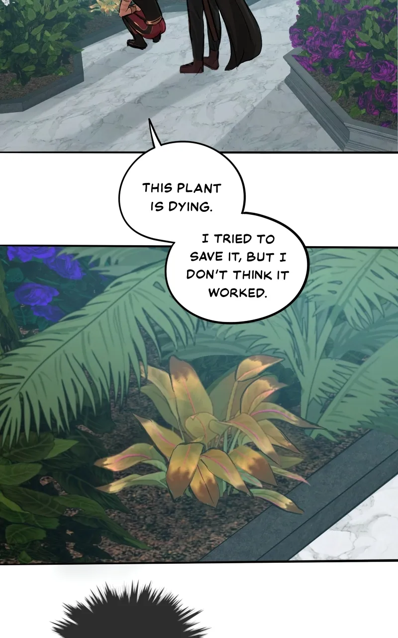 Read Aosora chapter 74 image 55 on Lezhin