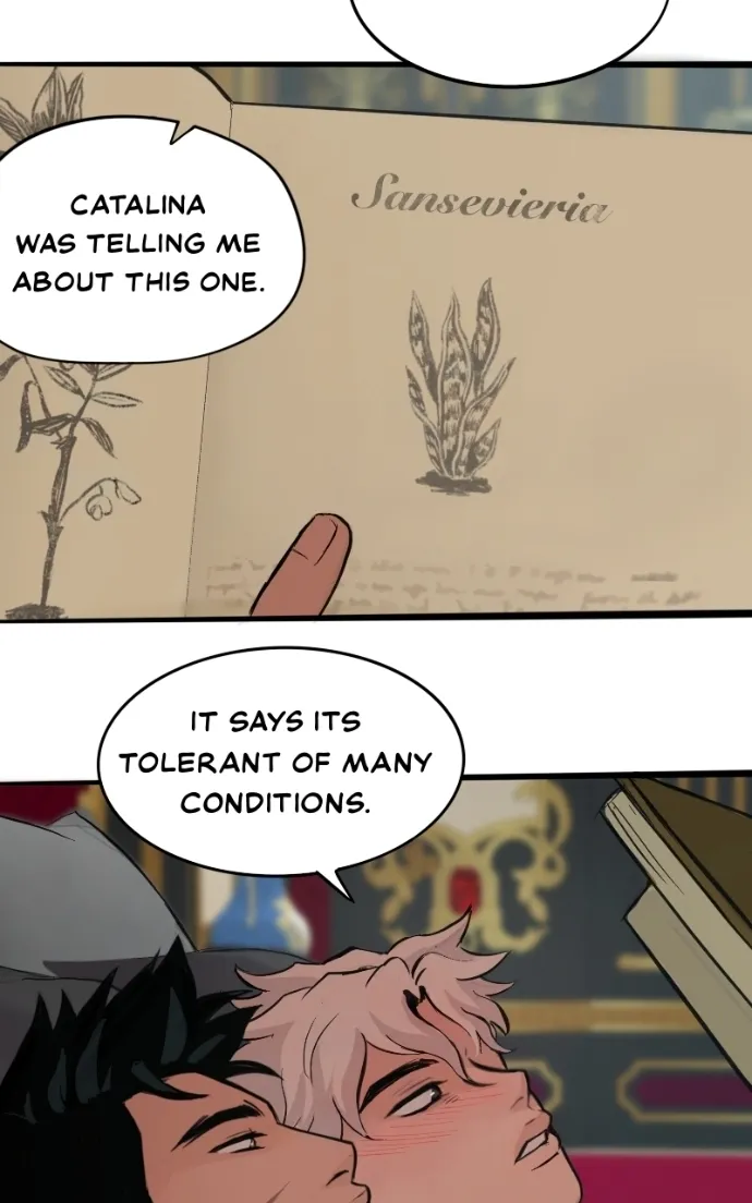 Read Aosora chapter 77 image 69 on Lezhin