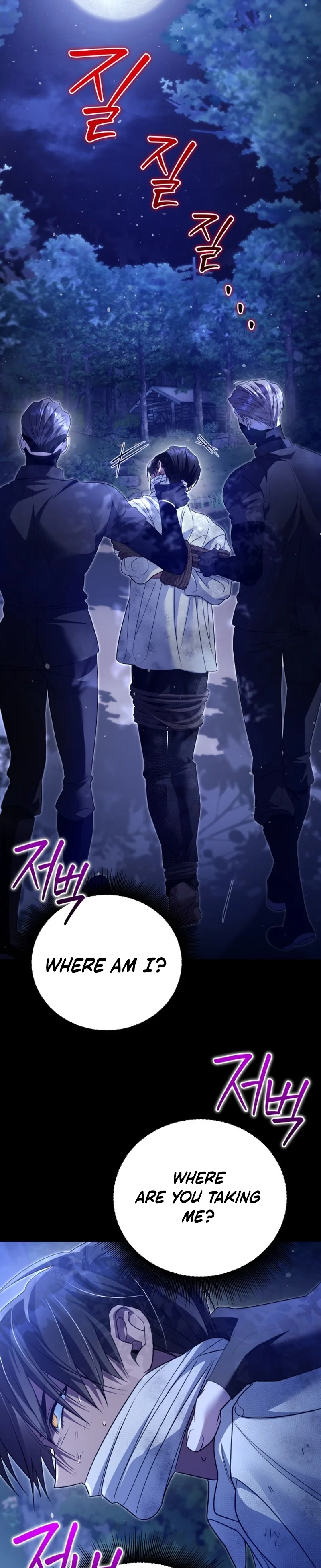 Apjibui Heukpyobeom Chapter 28 page 29 - 