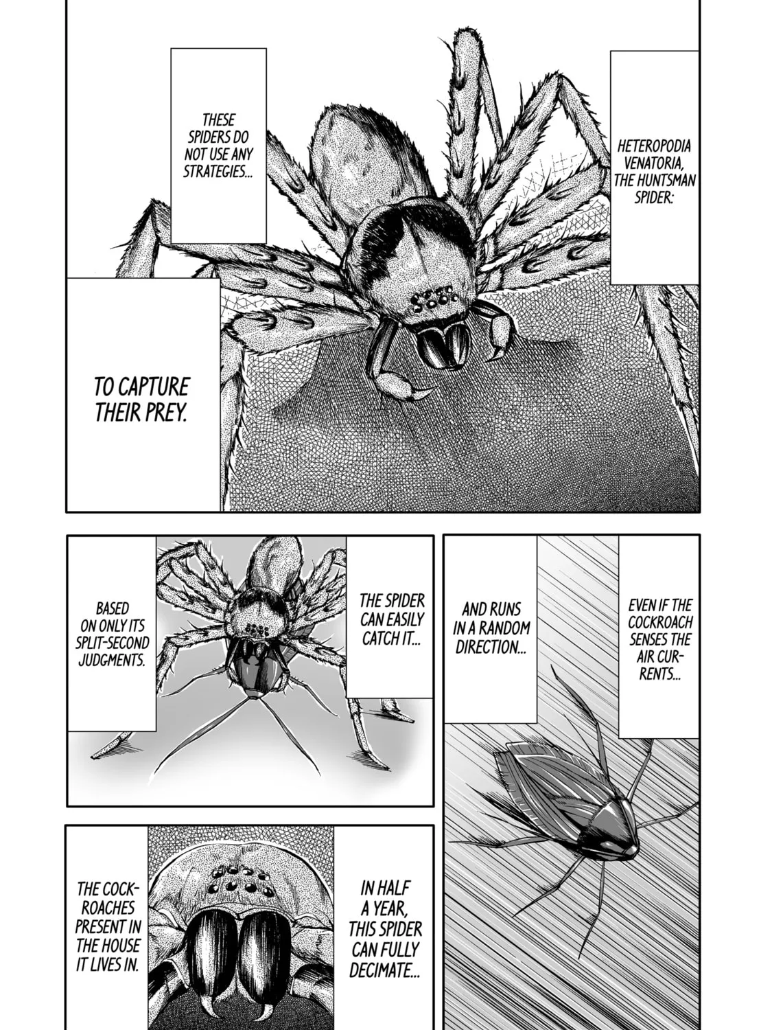 Read Arachnid chapter 10 image 42 on Lezhin