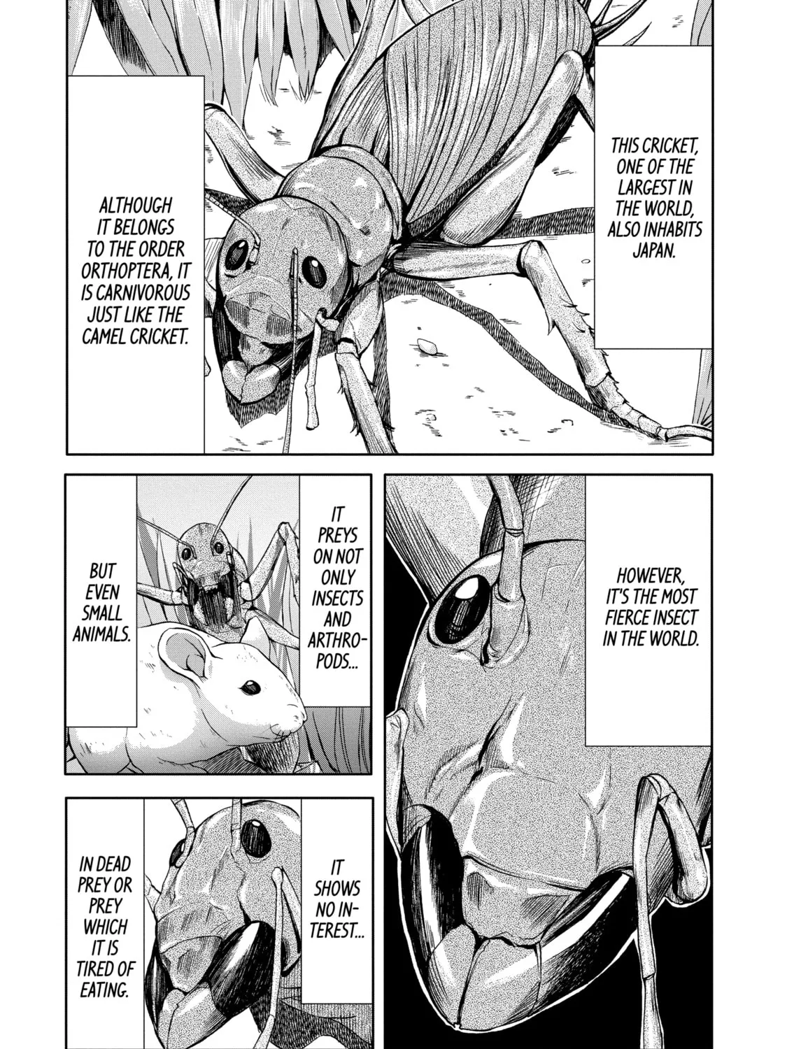 Read Arachnid chapter 22 image 36 on Lezhin