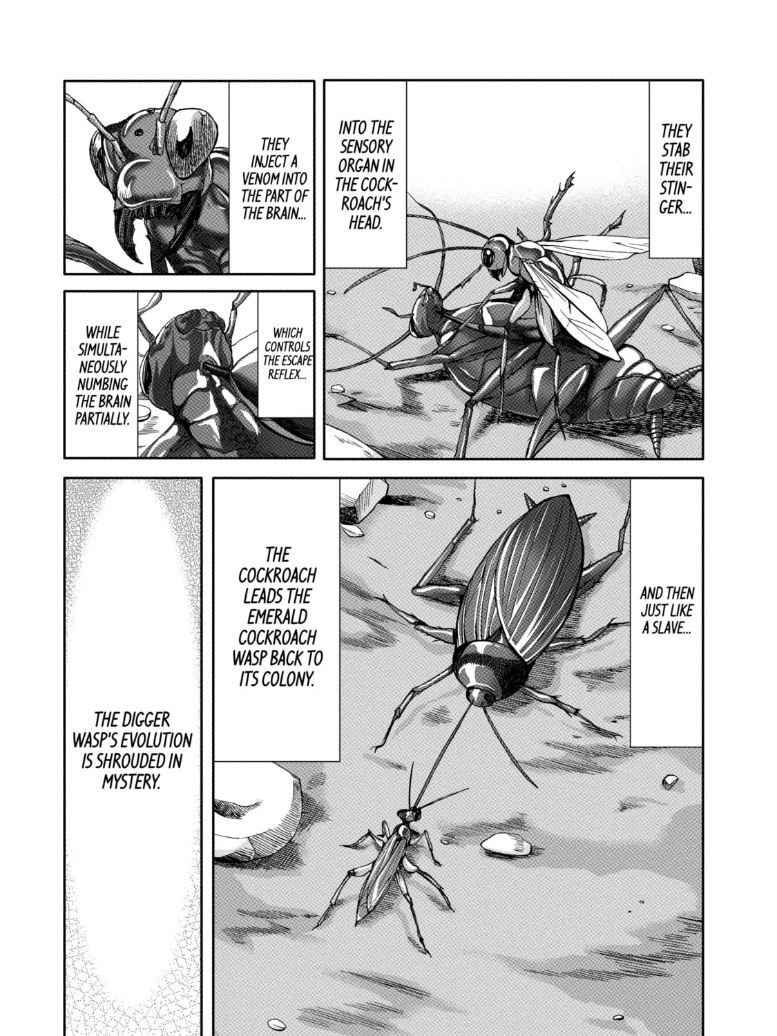 Read Arachnid chapter 26 image 44 on Lezhin